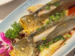 -33号大院·青岛本帮菜(五四广场店)