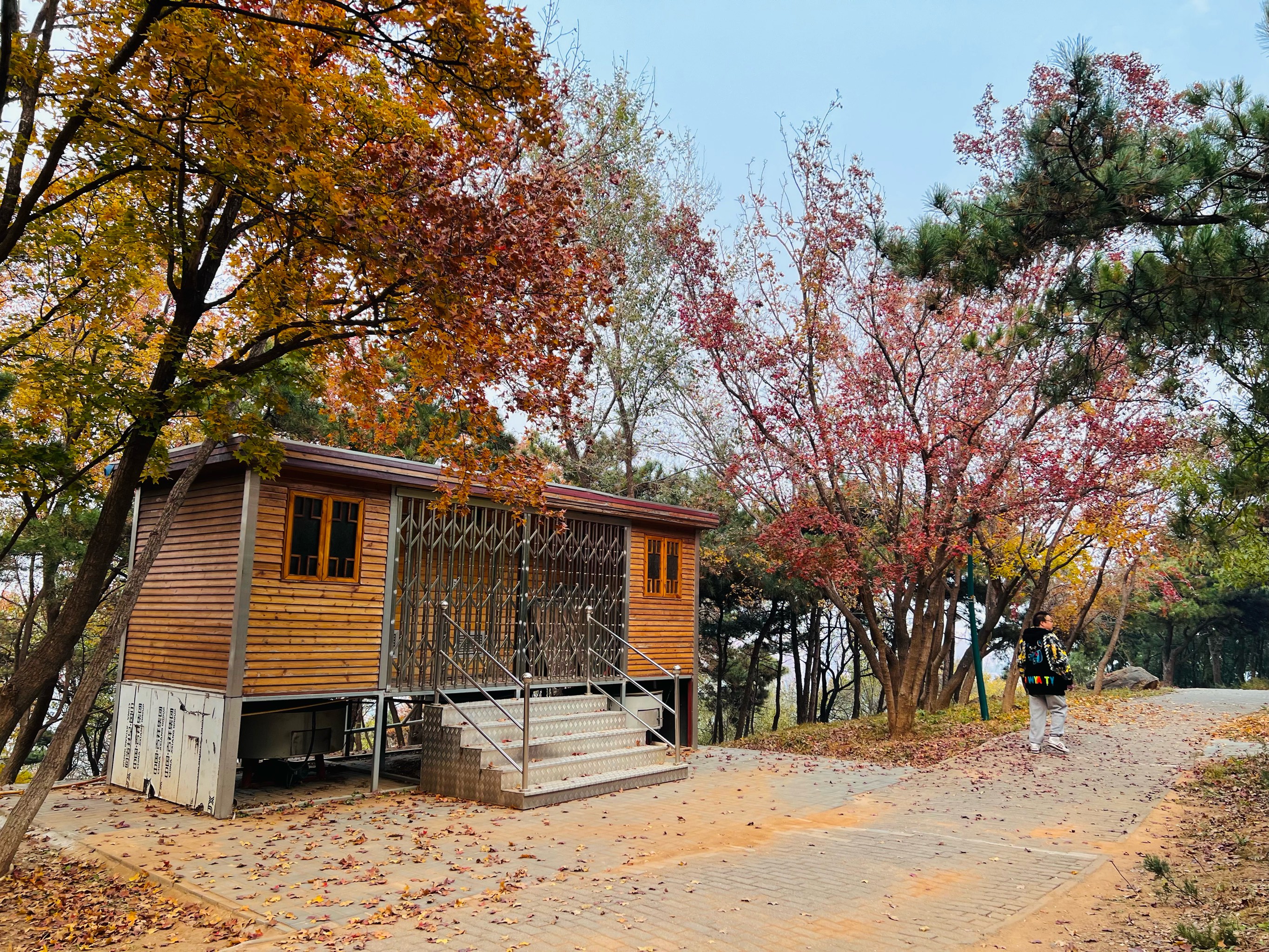 北京老山森林公园图片