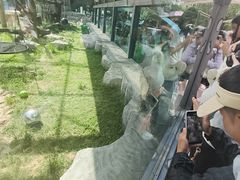 -青藏高原野生动物园