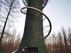 -黄海国家森林公园