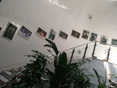 -格斗兄弟搏击健身训练馆(望京店)