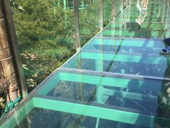 -陶祖圣境风景区