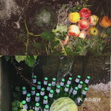 溪林里的夏天🍉五星玩水地💦上海1h直达