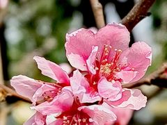 -桂溪生态公园