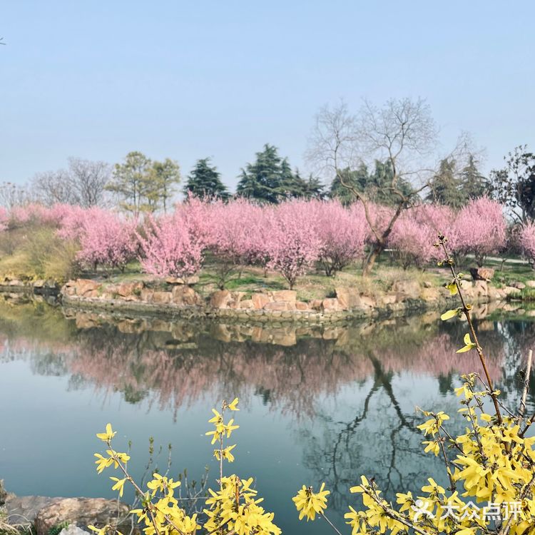 扬州瘦西湖最佳摄影机位看这里❗️❗️