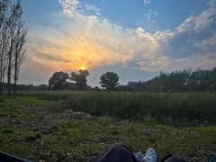 -东郊湿地公园