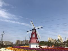 -菊园百果园