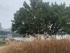-眉山湿地公园(东坡区)