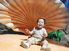 -华夏文旅海洋公园