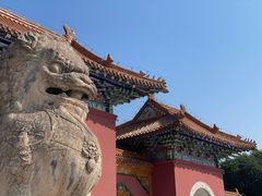 -北陵公园