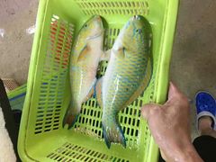 -班赞海鲜市场