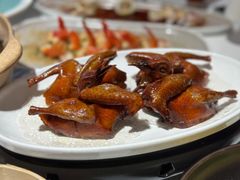 红烧乳鸽-陶陶居·雅园(凯华国际店)