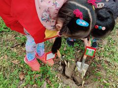 -前小桔亲子创意农场·草莓采摘·露营烧烤