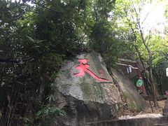 -天鹿湖森林公园