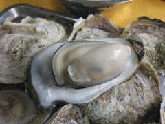 -蚝专家(北滘店)