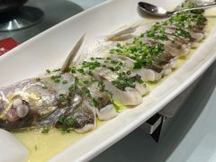 -沪碟·精菜坊(闵行店)