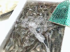 -青石桥市场北1-27号