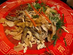 招牌顺德婆捞鸡-清晖小苑•顺德地方菜(壹海城店)