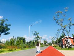 -上海长兴岛郊野公园