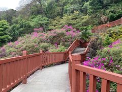 -广州市石门国家森林公园