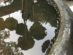 -白云山索道-售票处