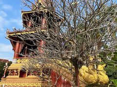-西双版纳总佛寺