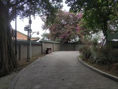-顺峰山公园