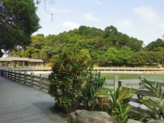 -广州市帽峰山景区