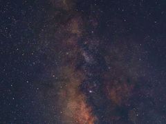 -东郊椰林