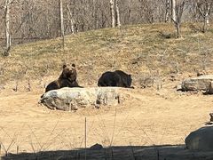 -北京野生动物园