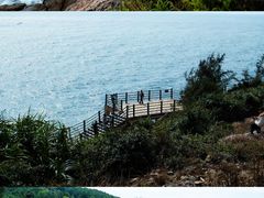 -广东惠东海龟国家级自然保护区