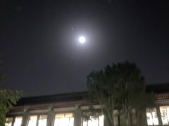 -麦隆咖啡(北大店)