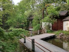 -上海植物园·停车场