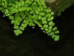 -北京植物园-展览温室