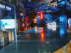 -烟台海昌鲸鲨海洋公园