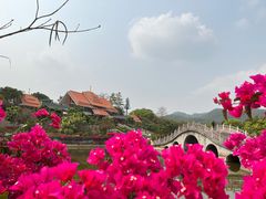 -大屏嶂森林公园