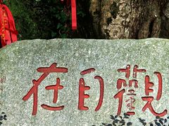 -峨眉山报国寺