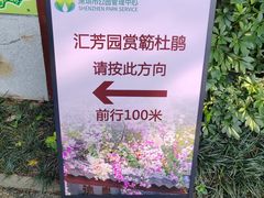 -深圳国际园林花卉博览园