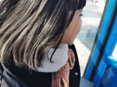 -琴岛之星摩天轮