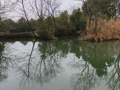 -西溪国家湿地公园