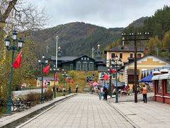 -横道河子东北虎林园