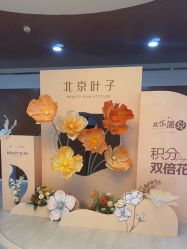 -北京叶子整形美容医院