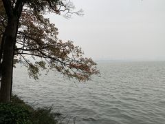 -东湖落雁景区