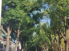 -上海财经大学(国定路校区)