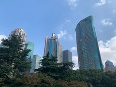 -陆家嘴中心绿地