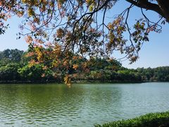 -南国桃园旅游度假区