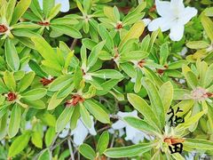 -尚贤河湿地