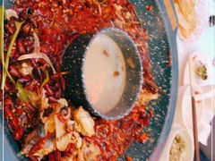 -渔香岛美蛙鱼头火锅(黔灵山公园店)