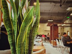 大堂-VESH COFFEE(定西路店)