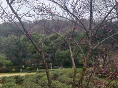 -浙江西子宾馆·瑶园咖啡厅